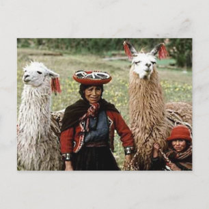 Cartão Postal Mulher quíchua com foto de dois Llamas