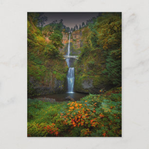Cartão Postal Multnomah Falls   Columbia River Gorge, Oregon