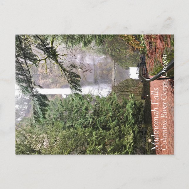 Cartão Postal Multnomah Falls, Oregon (Frente)