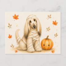 Múmia de Afghan Hound no Halloween