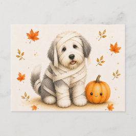 Cartão Postal Múmia de Old English Sheepdog no Halloween
