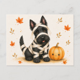 Cartão Postal Múmia de Terrier Escocês no Halloween