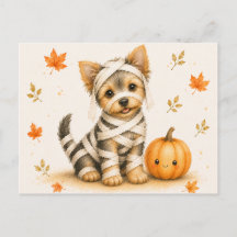 Múmia de Yorkshire Terrier no Halloween