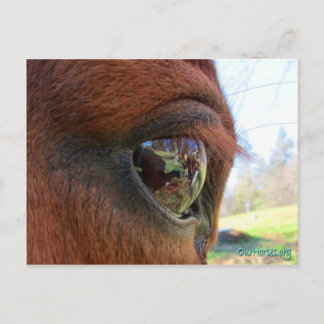 Cartão postal mundial Sundance