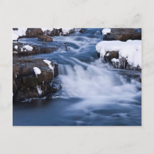 Cartão Postal Mundo da Neve #3