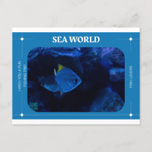 Cartão Postal mundo da visão