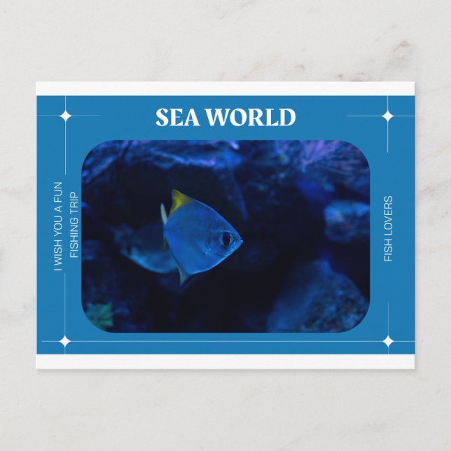 Cartão Postal mundo da visão (Frente)