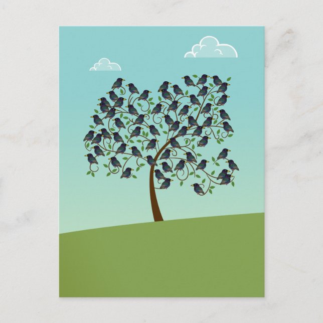 Cartão Postal Murmúrio de estorninhos (Frente)