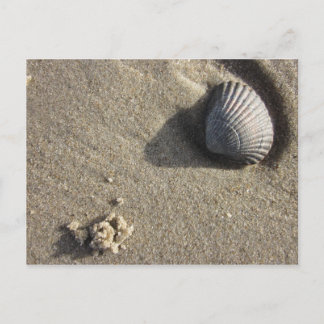 Cartão Postal Muschel