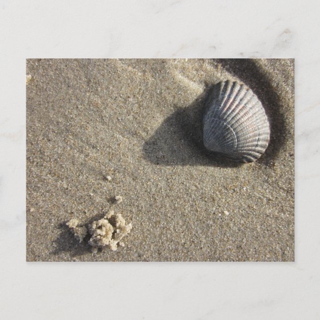 Cartão Postal Muschel (Frente)