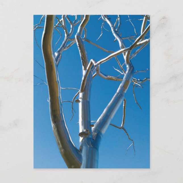 Cartão Postal Museu de Arte de santo Louis (Frente)