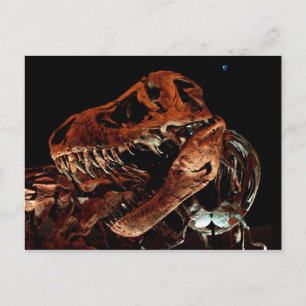 Cartão Postal Museu de Ciência Natural de Houston