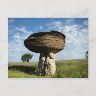 Cartão Postal Mushroom Rock