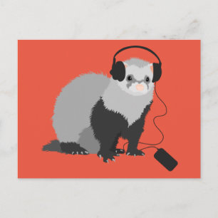 Cartão Postal Music Lover Ferret