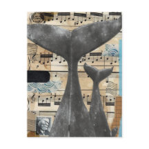 "Música de baleia" - Cartão-postal exclusivamente