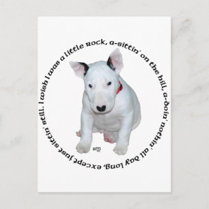 Cartão Postal Músicas de Filhotes de Bull Terrier