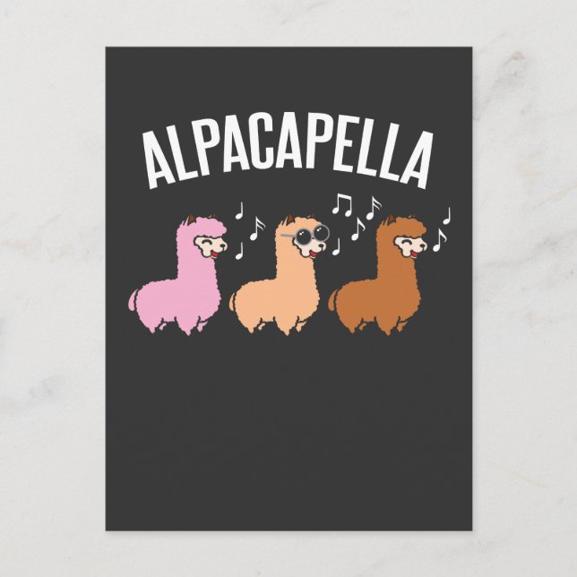 Cartão Postal Músico Alpacapella Acapella Alpaca Llama (Frente)