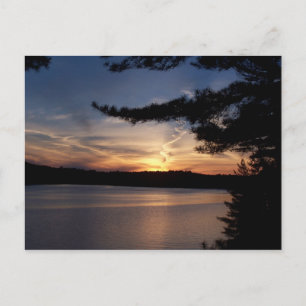 Cartão Postal Muskoka Sunset
