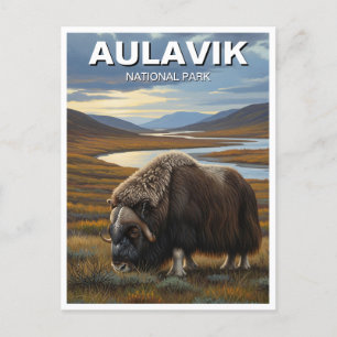 Cartão Postal Muskox no Parque Nacional de Aulavik, Canadá