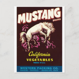 Cartão Postal Mustang Wild Horse Guadalupe Vegetais da Califórni