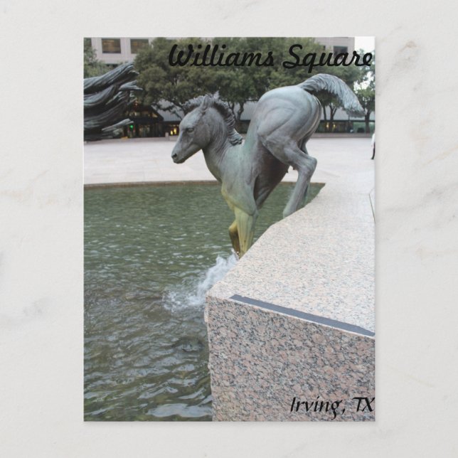 Cartão Postal Mustangs de Las Colinas # 18 (Frente)