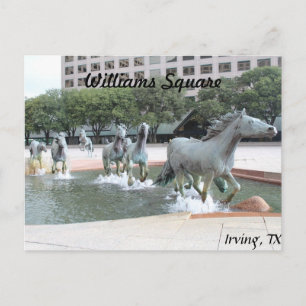 Cartão Postal Mustangs de Las Colinas # 21