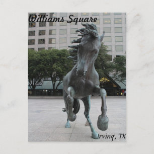 Cartão Postal Mustangs de Las Colinas # 25