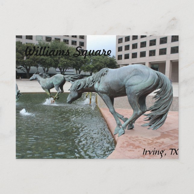 Cartão Postal Mustangs de Las Colinas # 28 (Frente)