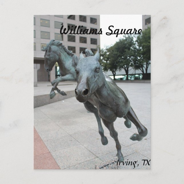 Cartão Postal Mustangs de Las Colinas # 29 (Frente)