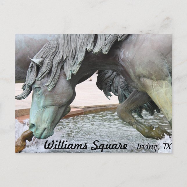 Cartão Postal Mustangs de Las Colinas # 8 (Frente)