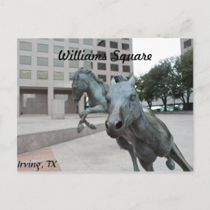 Cartão Postal Mustangs de Las Colinas # 9