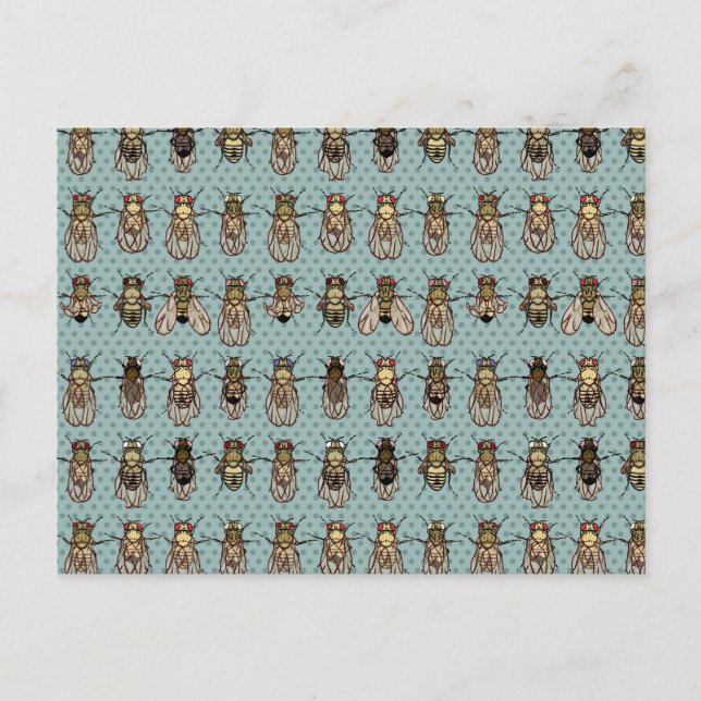 Cartão Postal Mutantes rosófilos (Frente)