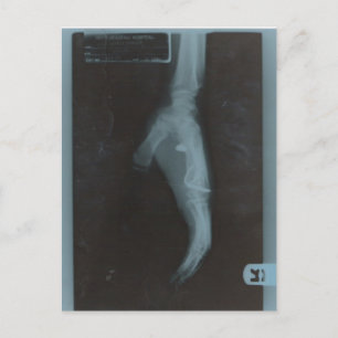 CARTÃO POSTAL MY22BULLET