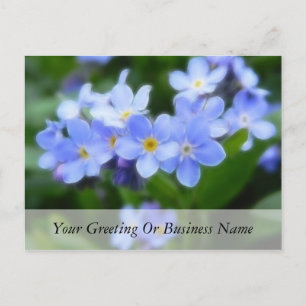 Cartão Postal Myosotis sylvatica - Esqueça-Me Noções