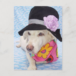 Cartão Postal Myrtie de alimentação da ventoinha