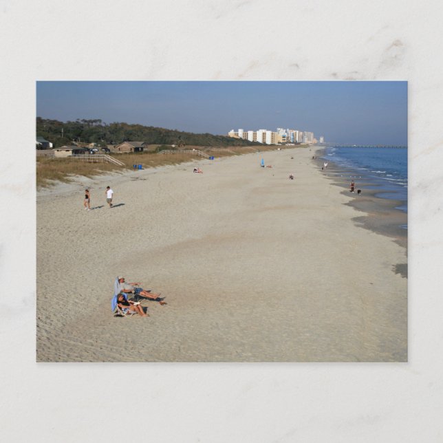 Cartão Postal Myrtle Beach State Park, Carolina do Sul (Frente)