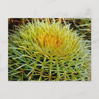 Cartão postal nº 2 do Cactus art. 2