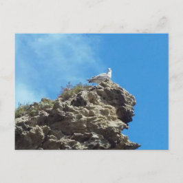 CARTÃO POSTAL Nº 3 DA DANA