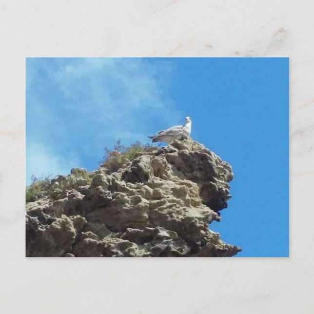 CARTÃO POSTAL Nº 3 DA DANA (Frente)