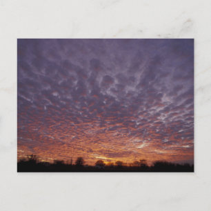 Cartão Postal N.A., EUA, Novo México, perto de Las Cruces,