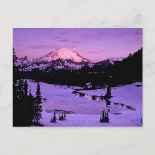 Cartão Postal N.A., EUA, Washington, Mt. Rainier Nacional 3