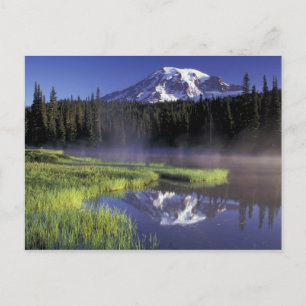 Cartão Postal N.A., EUA, Washington, Mt. Rainier Nacional 5