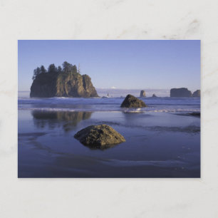 Cartão Postal N.A., EUA, Washington, Parque Nacional Olímpico, 3