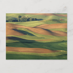 Cartão Postal N.A., EUA, Washington, Whitman County.