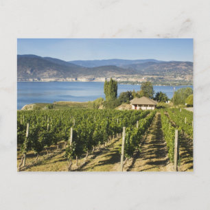 Cartão Postal NA; Canadá; Colúmbia Britânica; Vale do Okanagan;
