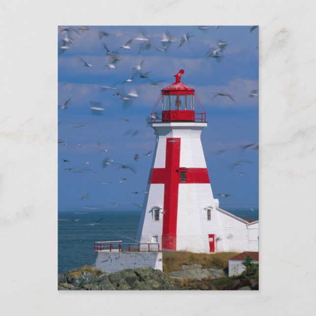 Cartão Postal NA, Canadá, New Brunswick, Ilha Campobello. 8 (Frente)