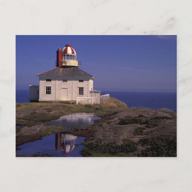Cartão Postal NA, Canadá, Terra Nova, Cabo Spear. Cabo Antigo (Frente)