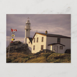 Cartão Postal NA, Canadá, Terra Nova, Lagosta Cove. Lagosta