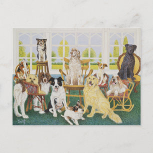 Cartão Postal Na Casinha de Cachorro