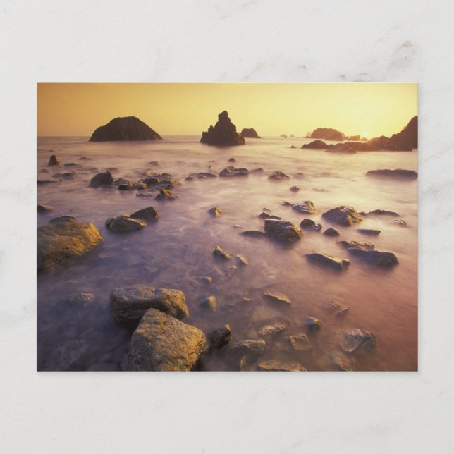 Cartão Postal NA, EUA, Califórnia, Norte California, (Frente)